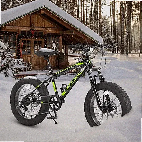 20Inch 4" Wide Fat Tire Bike Ages 8-12 7 Speeds Mountain Bike MTB Steel Frame
