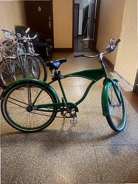 Beautiful Green Adult Bike