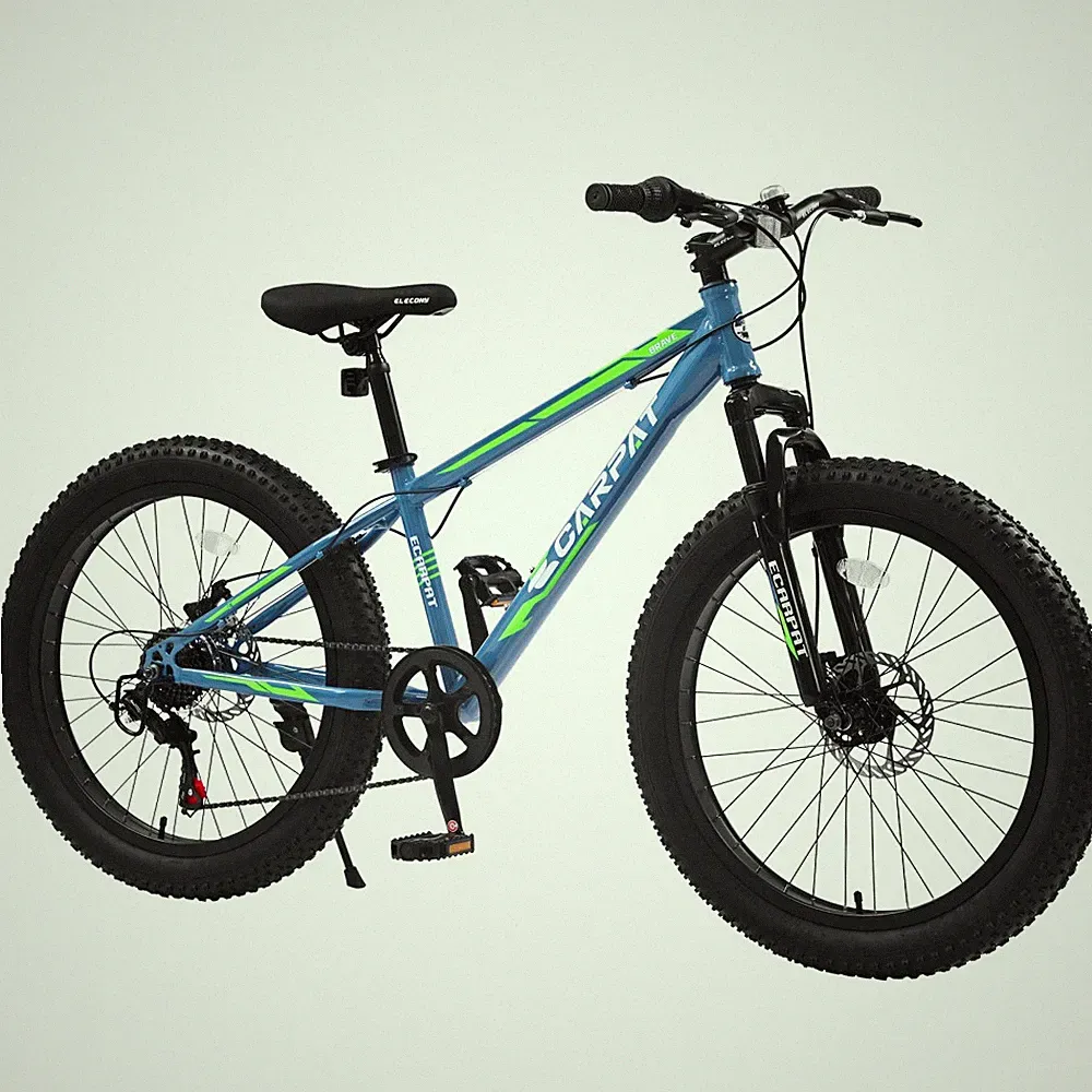 24" Fat Tire Mountain Bike Shimano 7-Speed Dual Disc Brake Front Suspension City