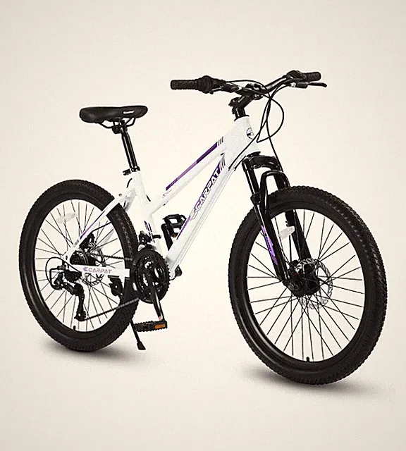 mountain bicycle for men