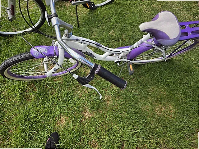 Purple and White adult Bike